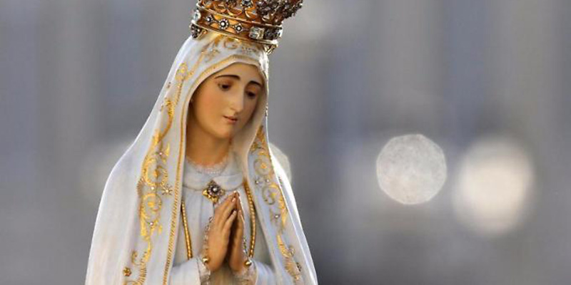 La statua della Madonna Pellegrina di Fatima (ANSA)