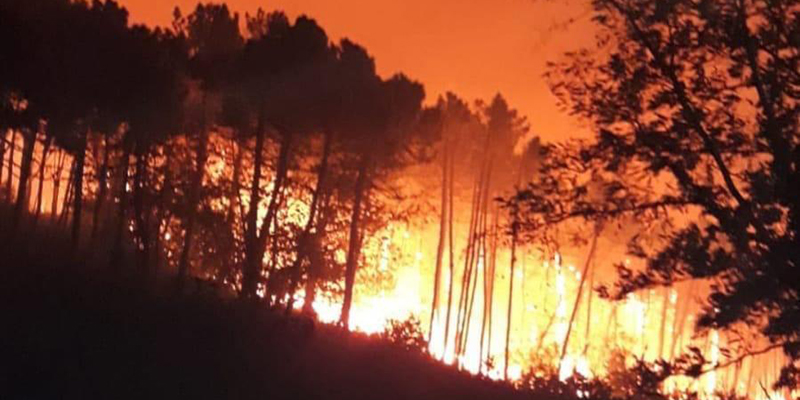 Incendio a Calci, in provincia di Pisa (ANSA Foto)