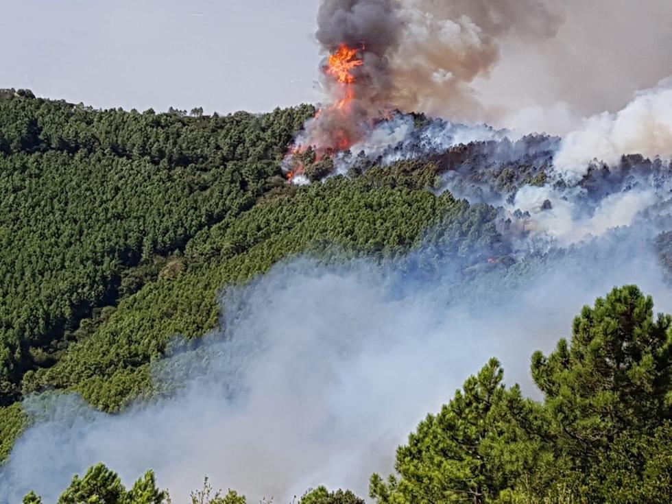 Le operazioni di spegnimento dell'incendio sul Monte Serra, 25 settembre 2018.
(ANSA/ PROTEZIONE CIVILE REGIONE TOSCANA)