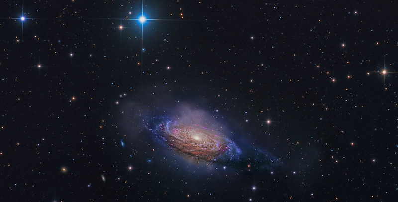 NGC 3521, Mysterious Galaxy 
© Steven Mohr, Australia
Carrapooee, Victoria, Australia, 13 febbraio 2018
(Royal Museums Greenwich)