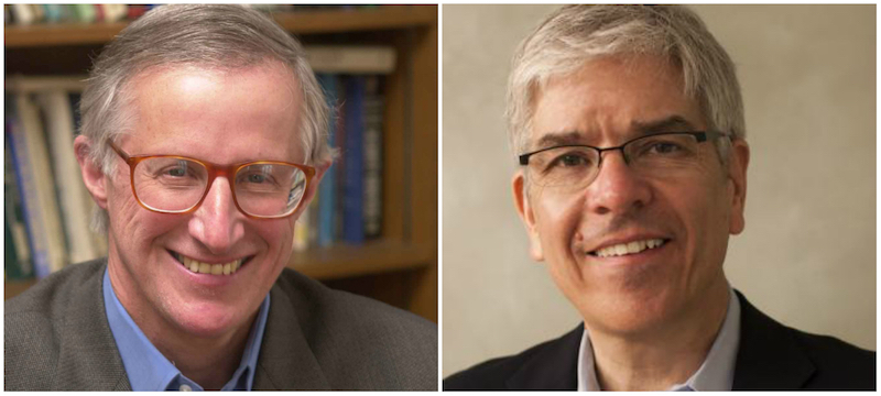 William D. Nordhaus (via Yale University) e Paul Romer (via NYU Wagner)