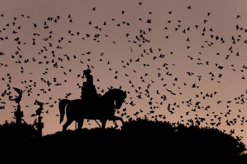 Domenica 11 novembre