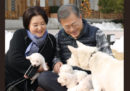 Sono nati i cuccioli dei cani regalati da Kim Jong-un alla Corea del Sud