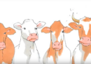 In Svizzera è stato bocciato il referendum che chiedeva di dare incentivi economici ai contadini che lasciavano le corna ai bovini e alle capre dei loro allevamenti