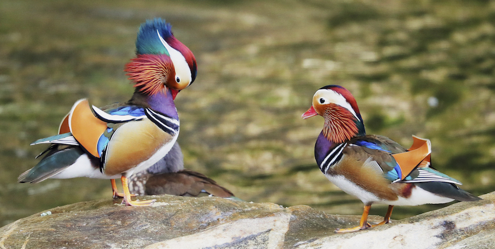 9 belle foto di ieri