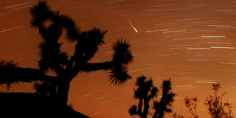 Lo sciame meteorico delle Leonidi fotografato nel Joshua Tree National Park della California, il 18 novembre 2001 (AP Photo/Reed Saxon)