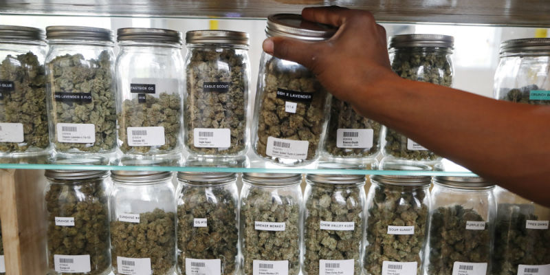 Il Michigan ha legalizzato la marijuana