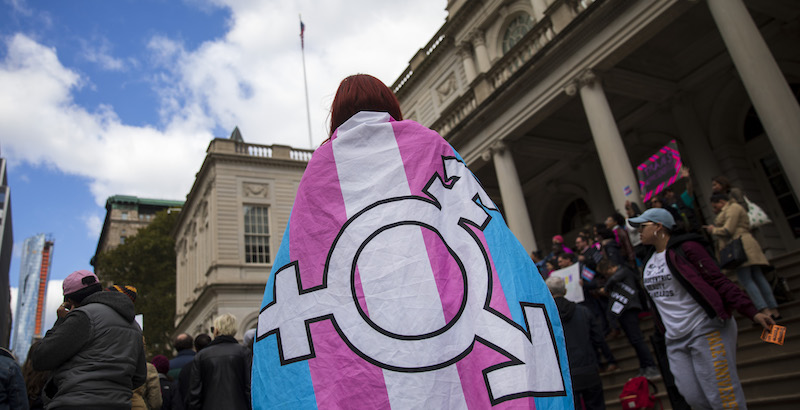 Una bandiere con il simbolo delle persone transgender
(Drew Angerer/Getty Images)