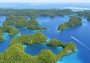 Nello stato insulare di Palau verranno vietate le creme solari dannose per i coralli