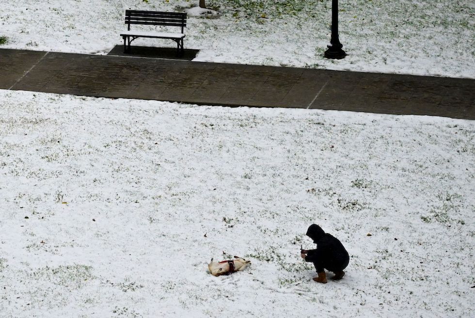 Giovedì 15 novembre