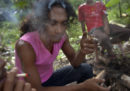 La Thailandia ha legalizzato la marijuana per scopi terapeutici