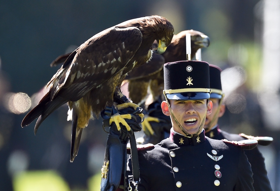 9 belle foto di ieri