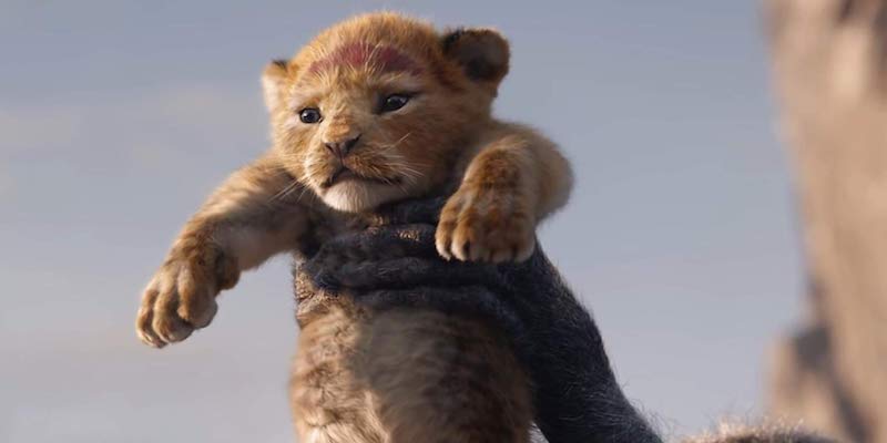 Un'immagine dal nuovo film "Il Re Leone", che uscirà nell'estate del 2019