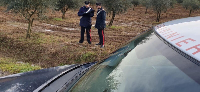 Un'operazione dei carabinieri nel Vibonese contro il caporalato, 11 gennaio 2019 (ANSA)