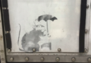 Forse a Tokyo hanno trovato un piccolo graffito di Banksy