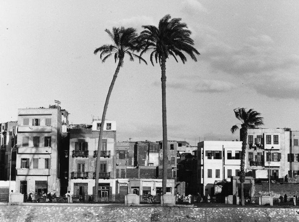 Il Cairo, 1955