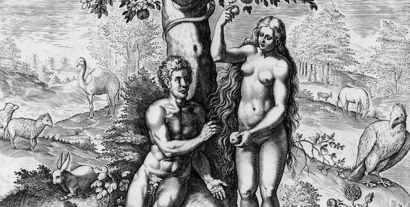 Adamo ed Eva in un disegno del XVII secolo di Johann Fischen (Hulton Archive/Getty Images)