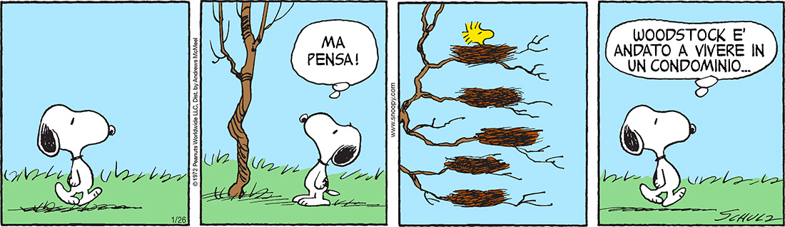 Peanuts 2019 gennaio 26
