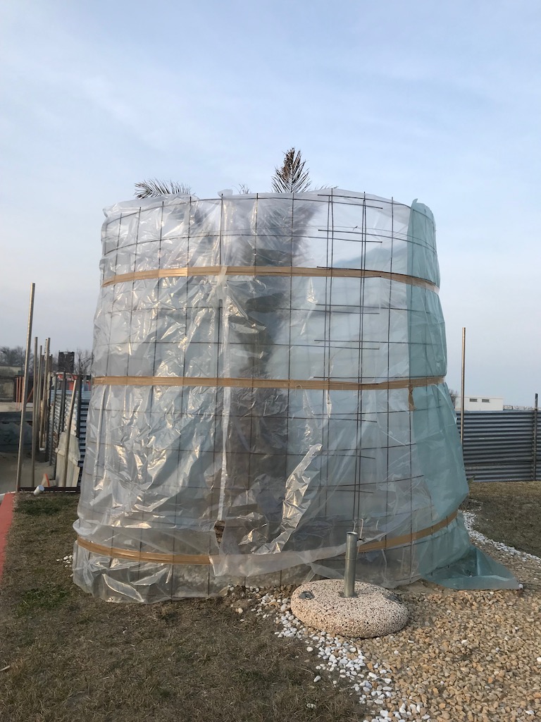 Lido di Classe 09.02.2019