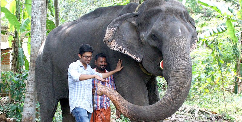 L'elefante Dakshayani
(STR/AFP/Getty Images)
