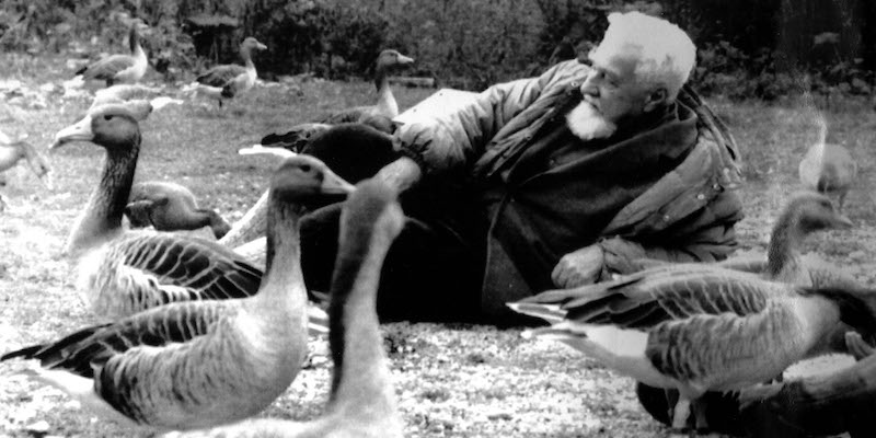 Lo zoologo ed etologo austriaco Konrad Lorenz in mezzo alle oche che studiava (AP-Photo)