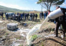 In Sardegna alcuni uomini hanno assaltato un camion cisterna costringendo l'autista a rovesciare tutto il latte che trasportava