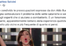 Salvini è preoccupato per l'invocazione a Satana fatta da Virginia Raffaele a Sanremo (...)