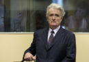 Radovan Karadžić ha fatto ricorso contro la condanna all'ergastolo
