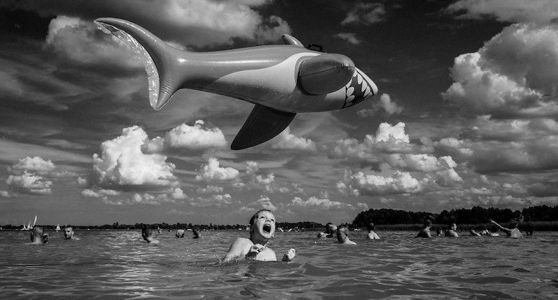 14 foto finaliste del concorso dello Smithsonian