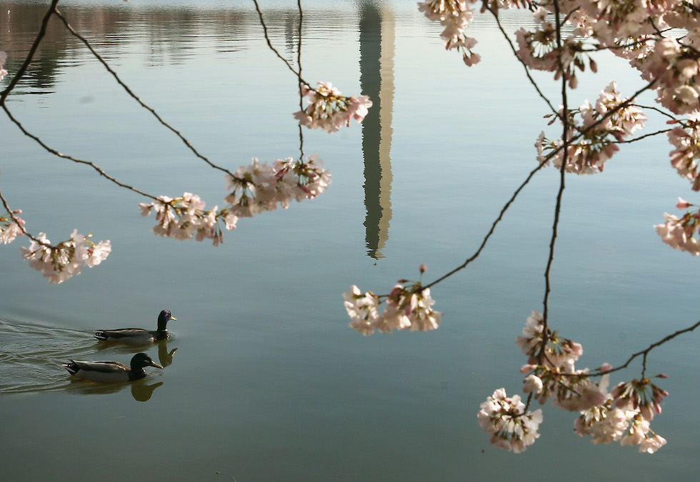 L'equinozio di primavera è oggi Il Post
