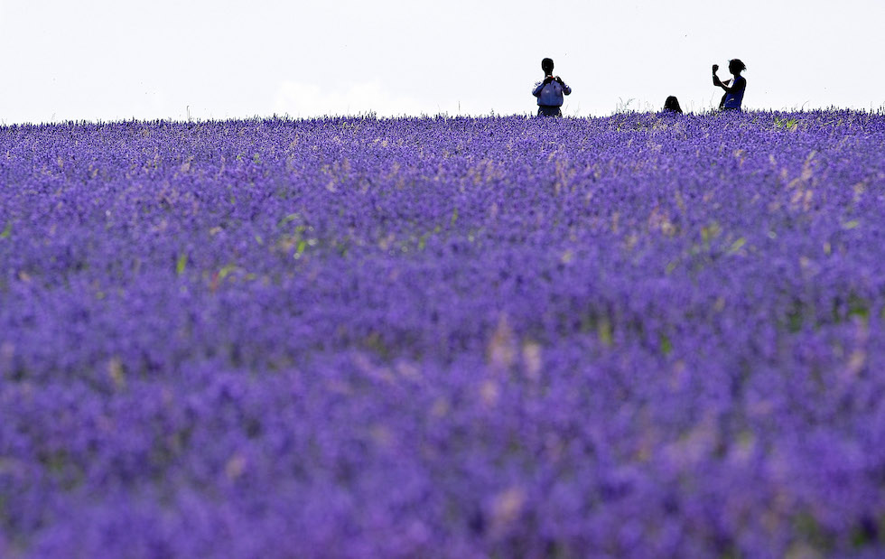 L'equinozio di primavera è oggi Il Post