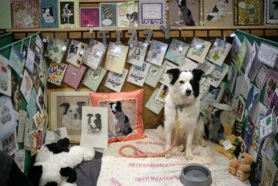 Birmingham, Regno Unito