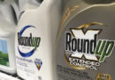 Un tribunale americano ha stabilito che l'erbicida Roundup è tra i fattori che hanno causato un tumore in una persona