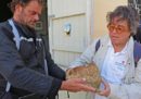 L'archeologo e assessore regionale siciliano Sebastiano Tusa era sull'aereo precipitato in Etiopia