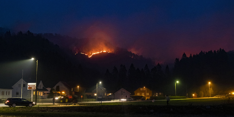 L'incendio si è sviluppato nei boschi vicino a Sokndal, nel sud della Norvegia. (Tor Erik Schroeder / NTB scanpix/AP)