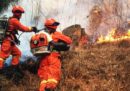 In Cina almeno 26 vigili del fuoco sono morti cercando di spegnere un incendio sulle montagne del Sichuan
