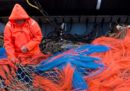 Dal 2021 la pesca elettrica sarà vietata in tutta l'Unione Europea