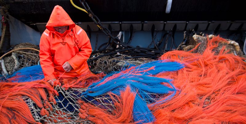 Dal 2021 la pesca elettrica sarà vietata in tutta l’Unione Europea