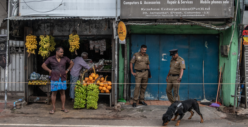 Un poliziotto con un cane antiesplosivo perlustra una strada di Colombo. (Carl Court/Getty Images)