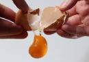 L'annoso dibattito sulle uova e il colesterolo