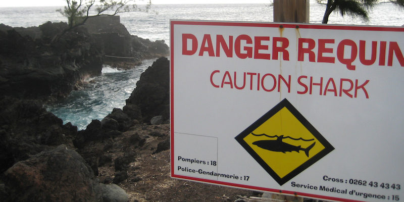 Un cartello indica il pericolo squali nelle acque dell'isola Riunione. (Gerd Roth/picture-alliance/dpa/AP Images)