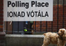 Guida alle elezioni europee in Irlanda