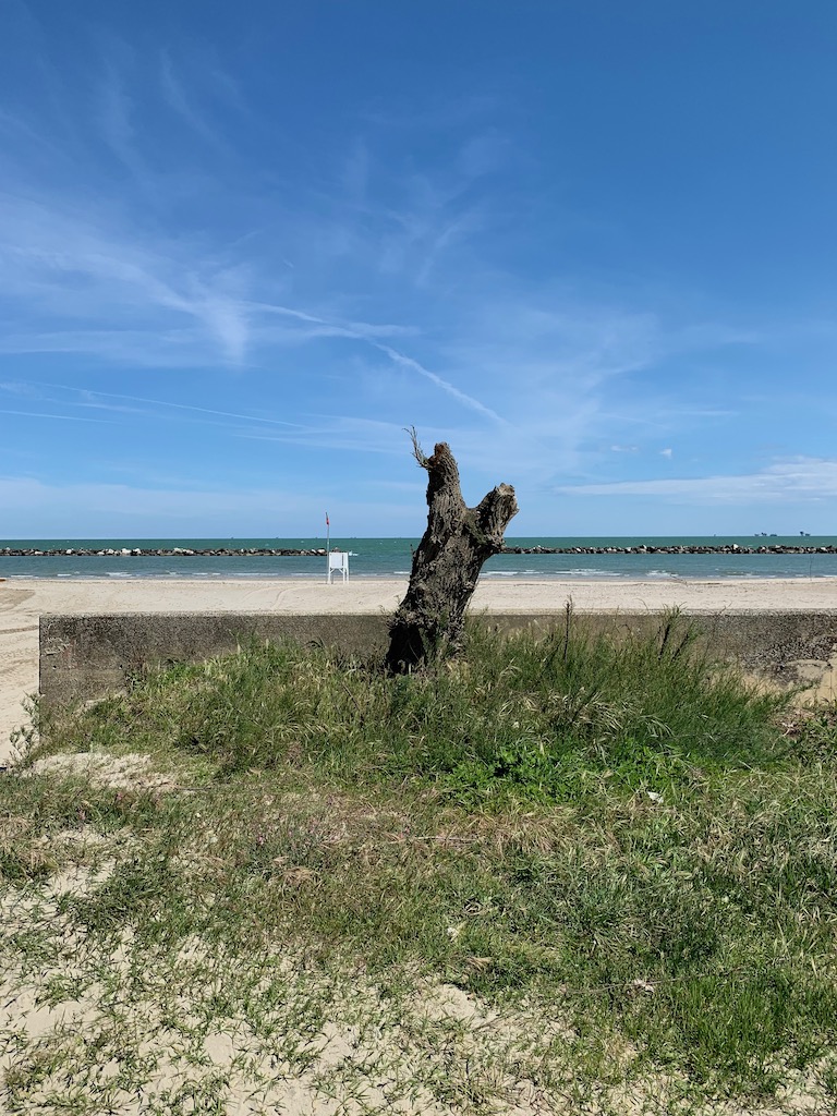 Casalborsetti 16.05.2019