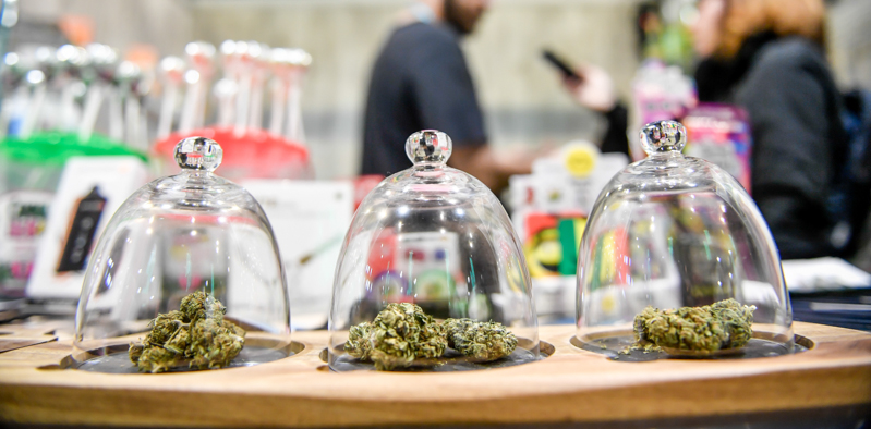 E ora cosa succede ai negozi di cannabis light?