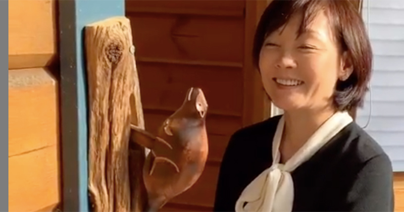 Il nuovo castoro battiporta di Shinzo Abe