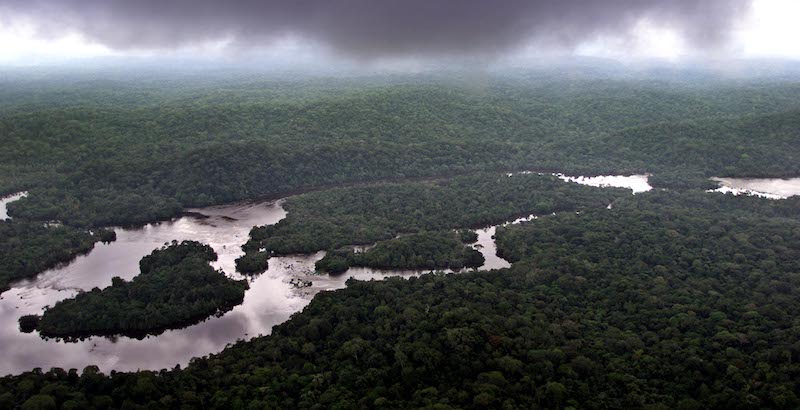 (AP Photo/Saurabh Das)