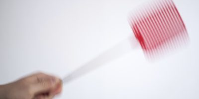 Cosa funziona davvero contro le zanzare?