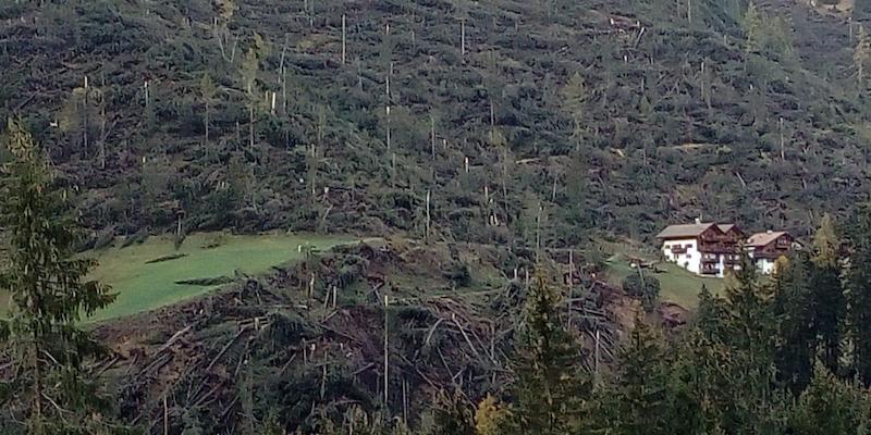 I danni causati dal vento nella zona di Carezza, in val d'Ega (Alto Adige)
(ANSA/ VIGILI DEL FUOCO) 