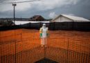 Ebola in Congo sta diventando un'emergenza internazionale