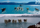 La foto dei cani da slitta in acqua in Groenlandia, già 35 anni fa